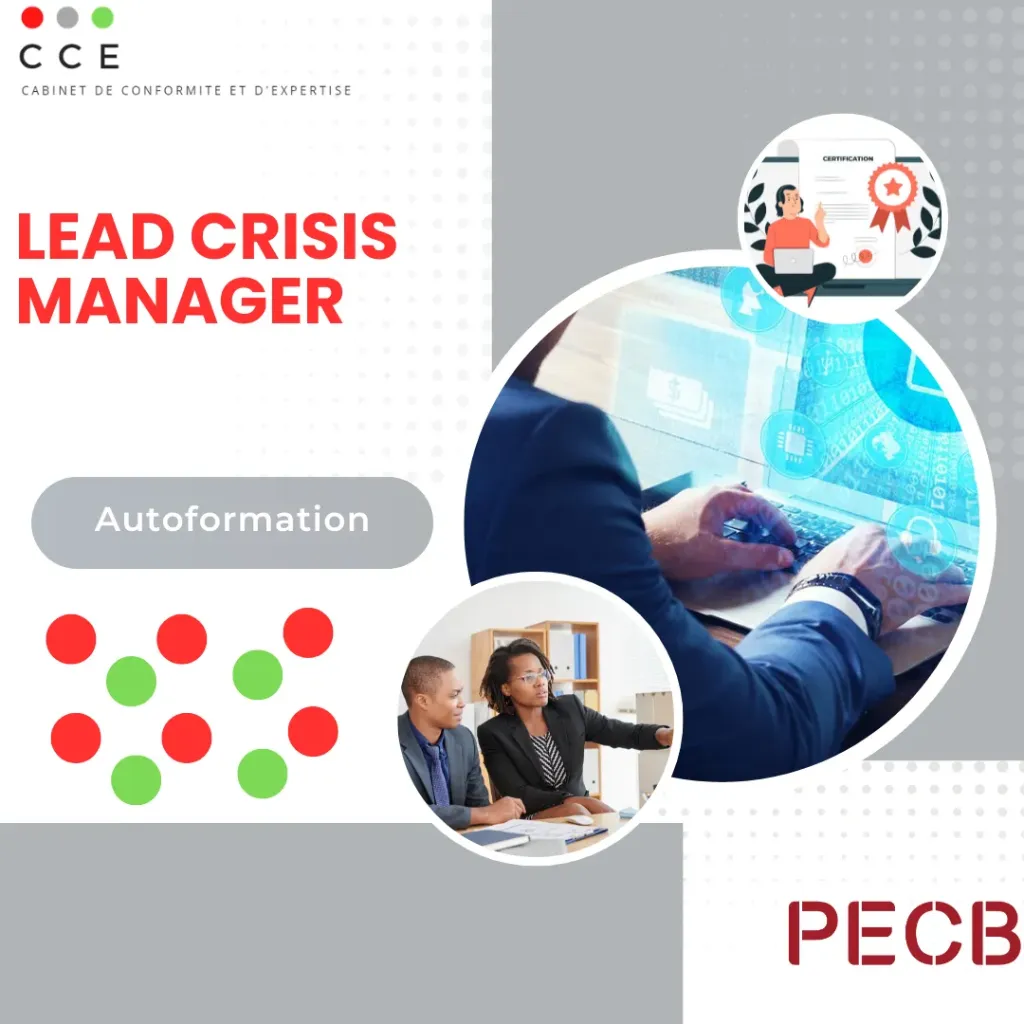 Lead Crisis Manager